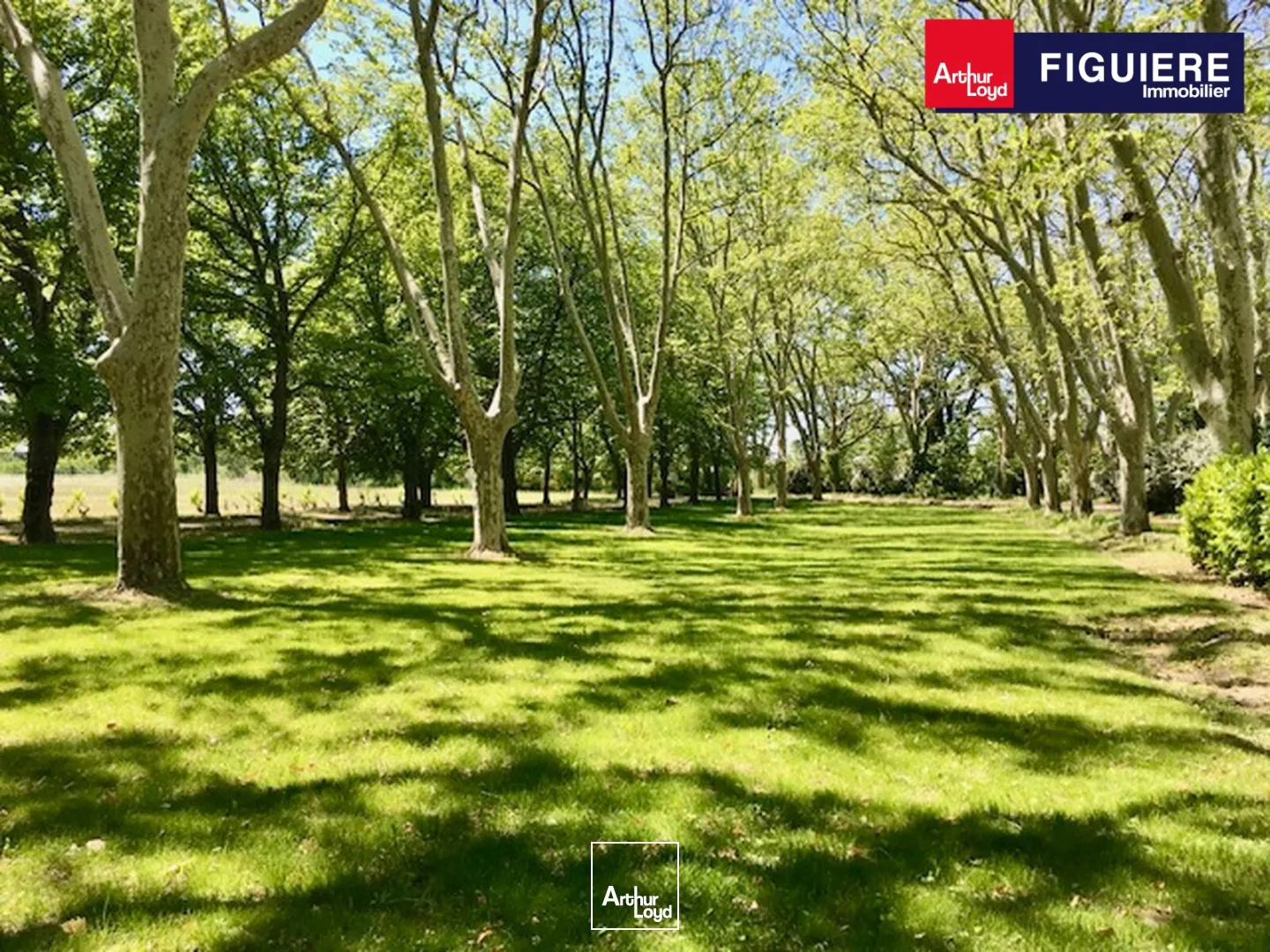 Locaux commerciaux - Vente - MALLEMORT - 13370 - 660-660 - 7633250