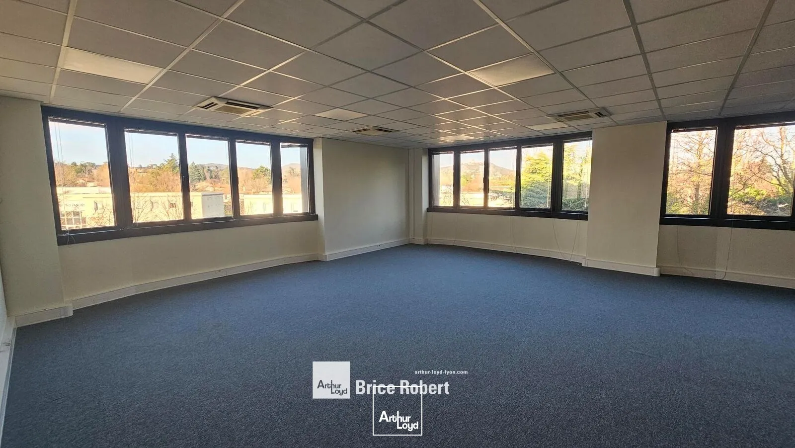 Bureaux - Location - SAINT DIDIER AU MONT D'OR - 69370 - 159-1593 - 7633923