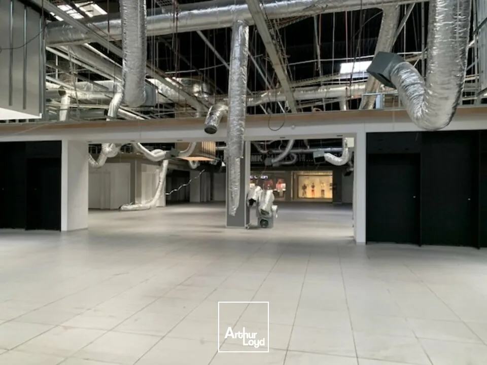 Locaux commerciaux - Location - AVIGNON - 84000 - 2167-2167 - 7634486