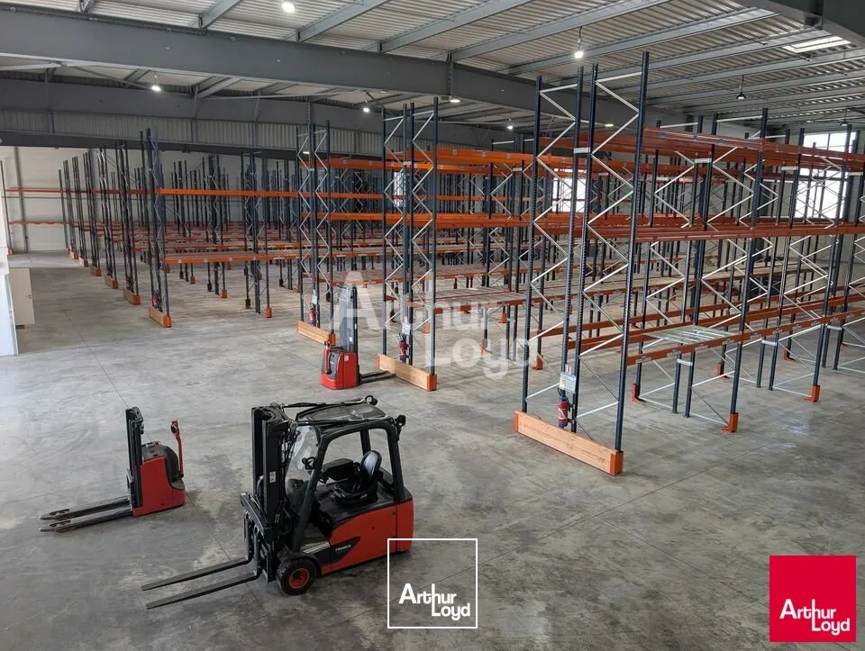 Locaux d'activité & Entrepôts - Vente - NOYAL-CHÂTILLON-SUR-SEICHE - 35230 - 3190-3190 - 7634562