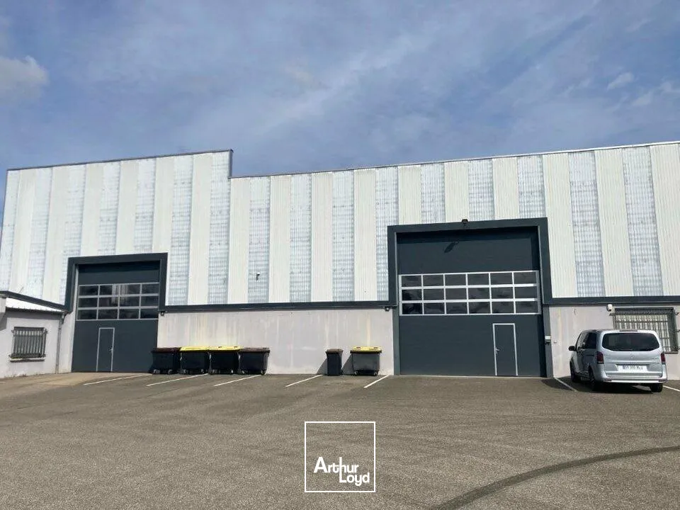 Locaux d'activité & Entrepôts - Vente - HABSHEIM - 68440 - 2530-2530 - 7635253