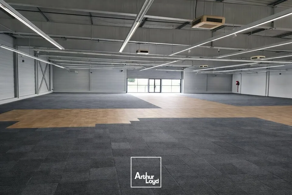 Locaux commerciaux - Location - CHAURAY - 79180 - 1185-1185 - 7635319