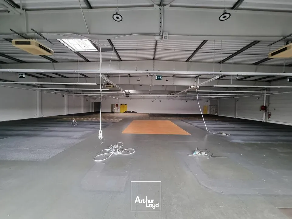 Locaux commerciaux - Location - CHAURAY - 79180 - 1185-1185 - 7635316