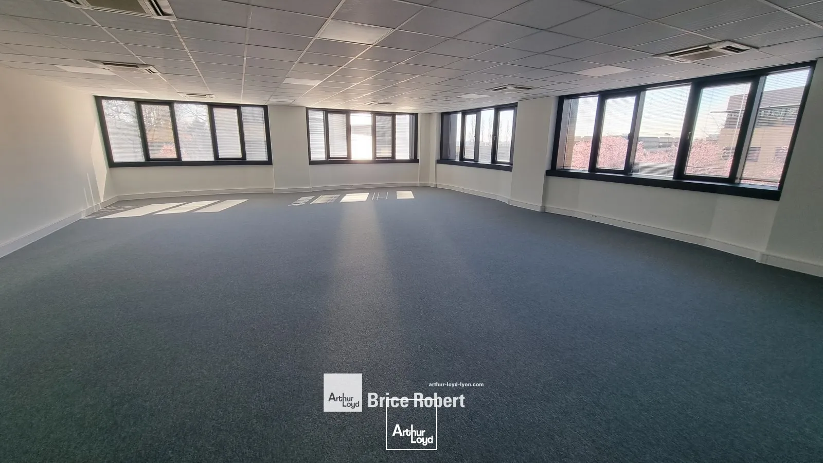 Bureaux - Vente - SAINT DIDIER AU MONT D'OR - 69370 - 55-1463 - 7635928