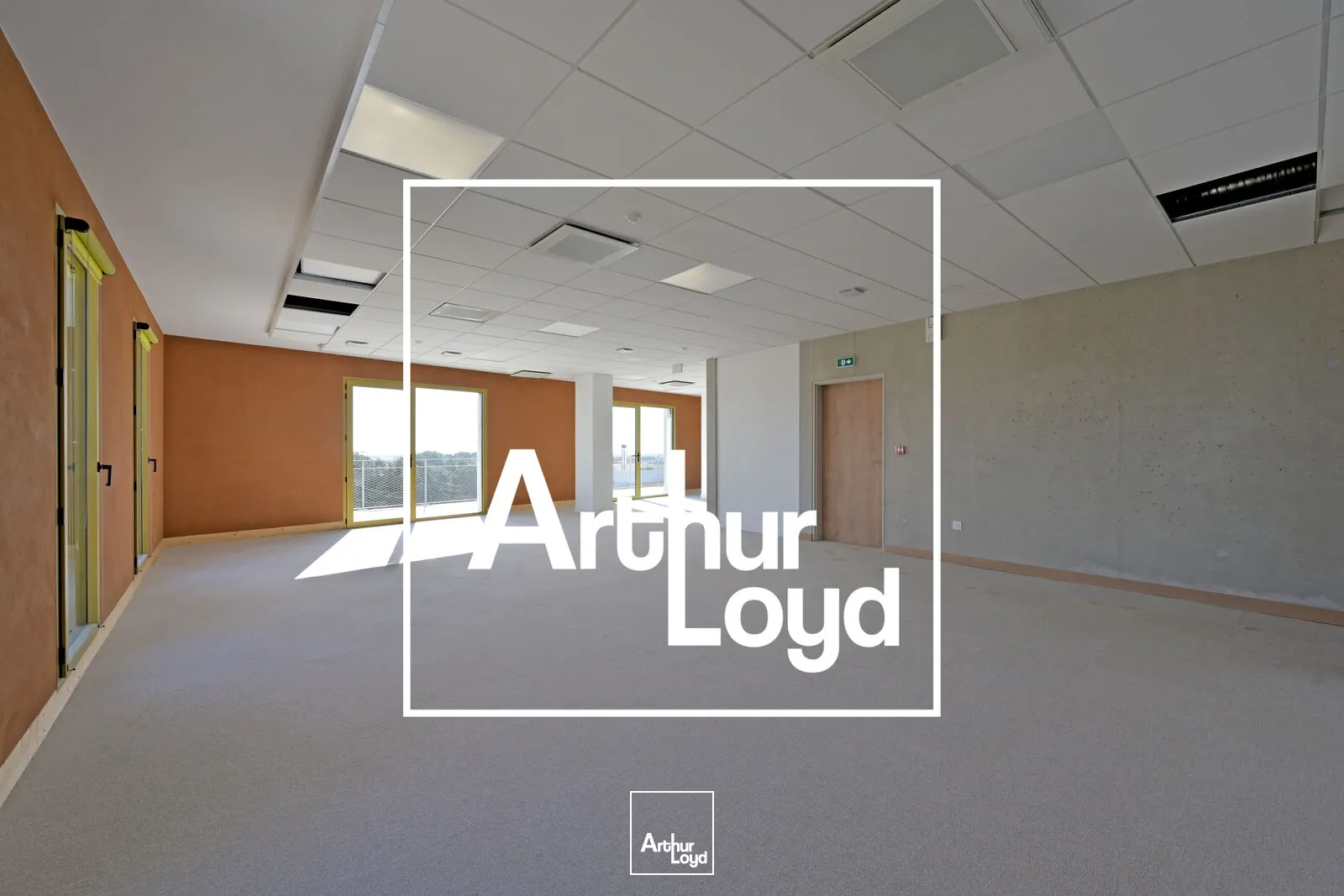 Bureaux - Location - MONTPELLIER - 34000 - 325-325 - 7636860