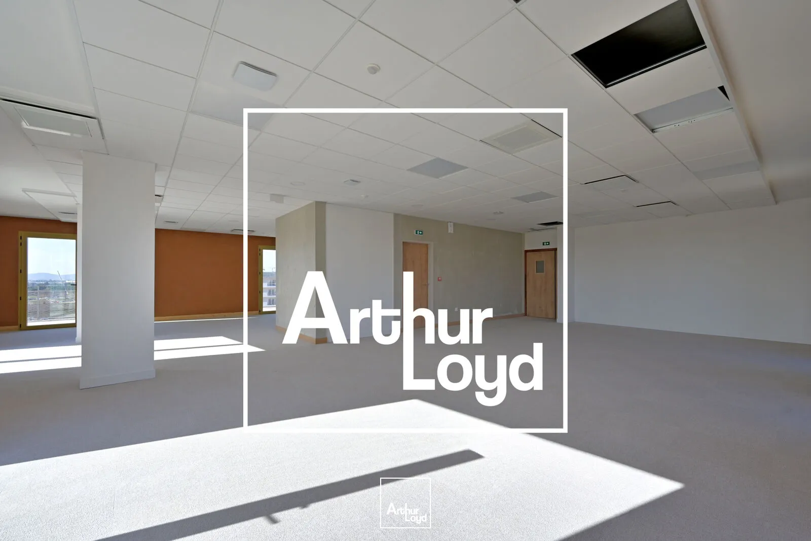 Bureaux - Location - MONTPELLIER - 34000 - 325-325 - 7636861