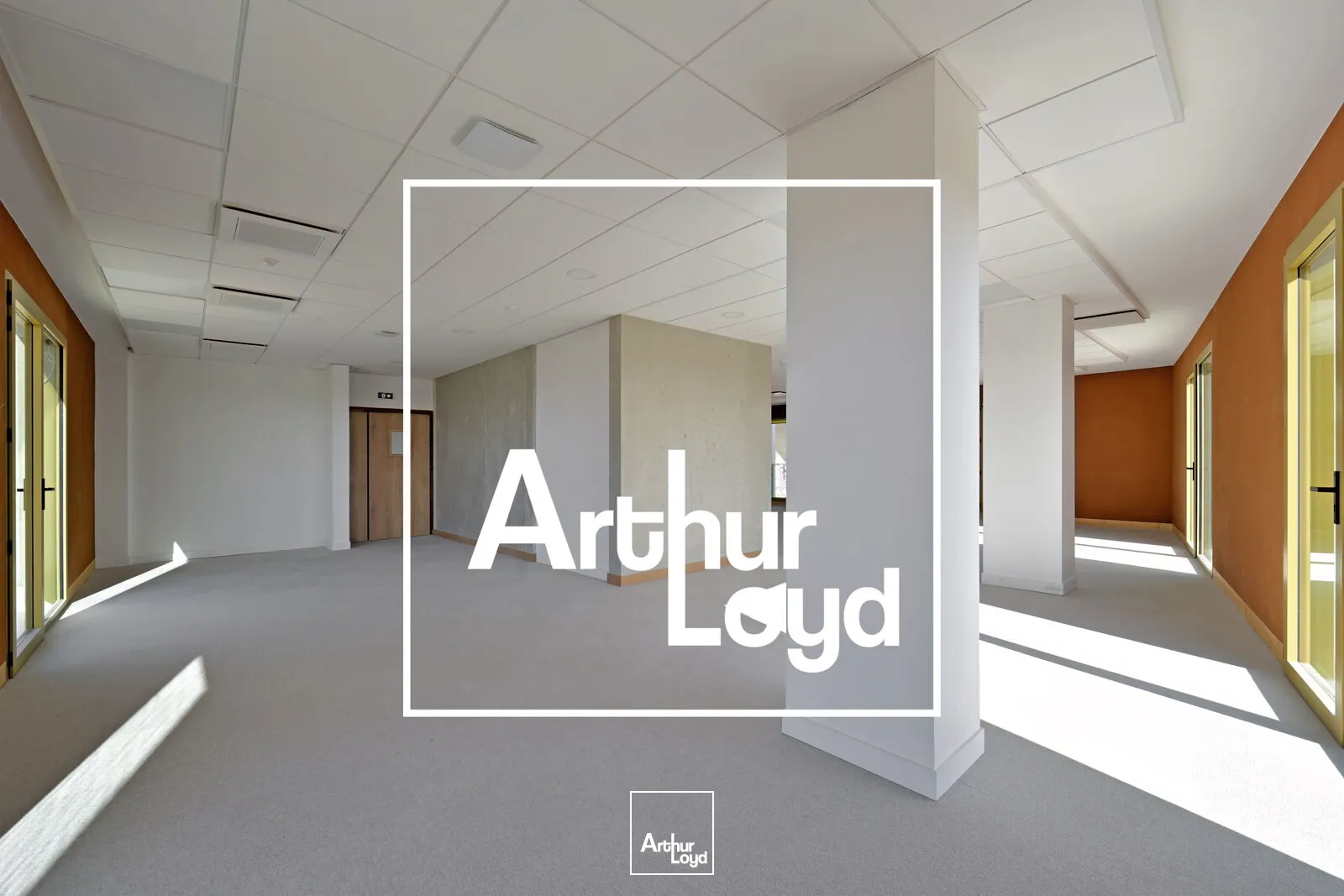 Bureaux - Location - MONTPELLIER - 34000 - 325-325 - 7636862