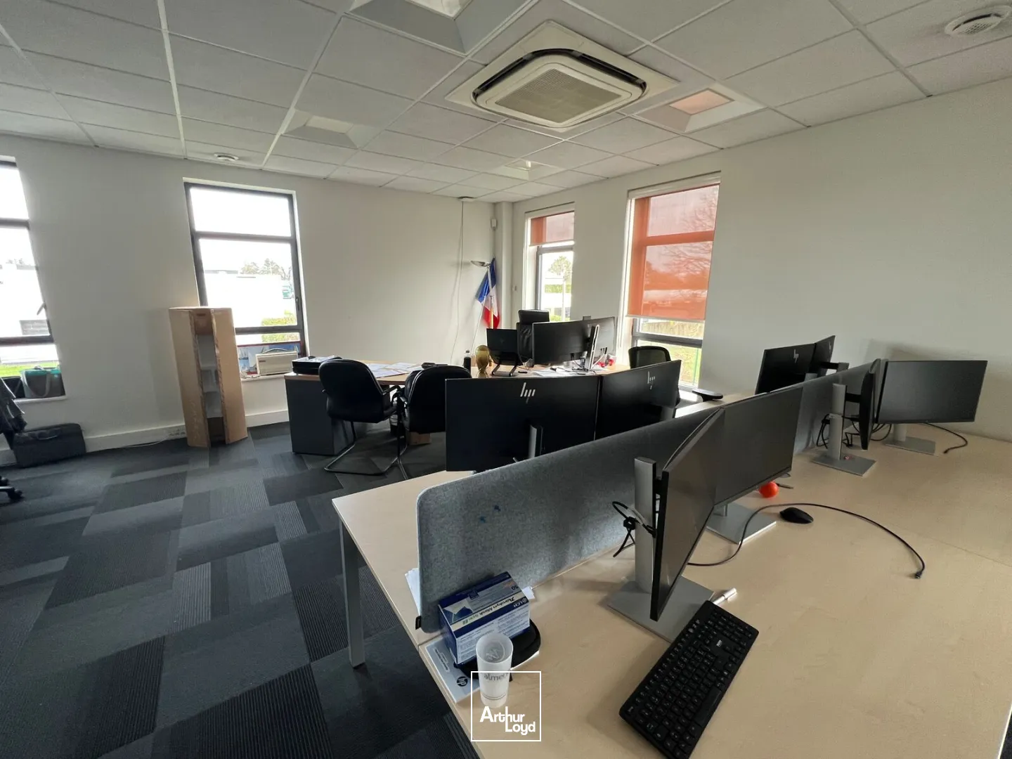 Bureaux - Location - LES SORINIERES - 44840 - 652-652 - 7636912