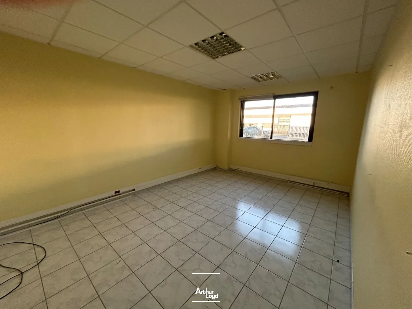 Locaux d'activité & Entrepôts - Vente - SAINT AIGNAN GRANDLIEU - 44860 - 344-344 - 7636968