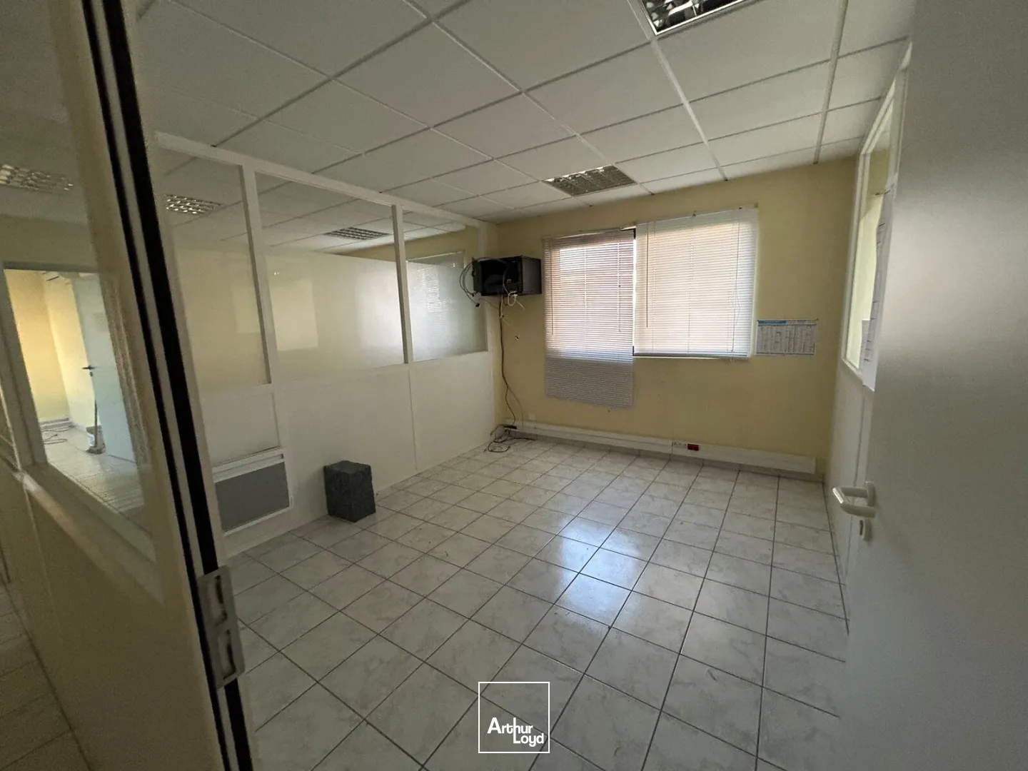 Locaux d'activité & Entrepôts - Vente - SAINT AIGNAN GRANDLIEU - 44860 - 344-344 - 7636970