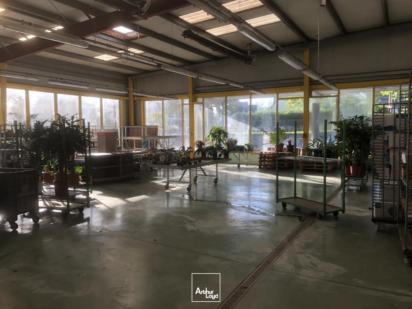 Locaux d'activité & Entrepôts - Location - BREST - 29200 - 1200-1200 - 7637374