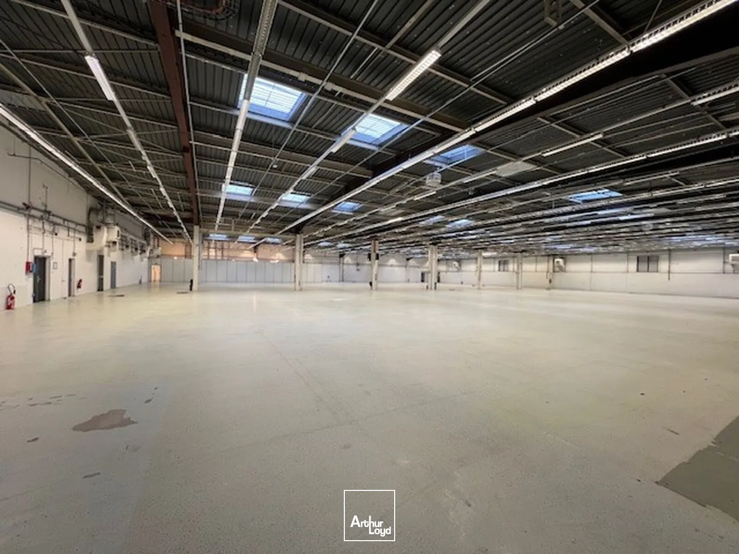 Locaux d'activité & Entrepôts - Location - LES ULIS - 91940 - 1370-18729 - 7637726