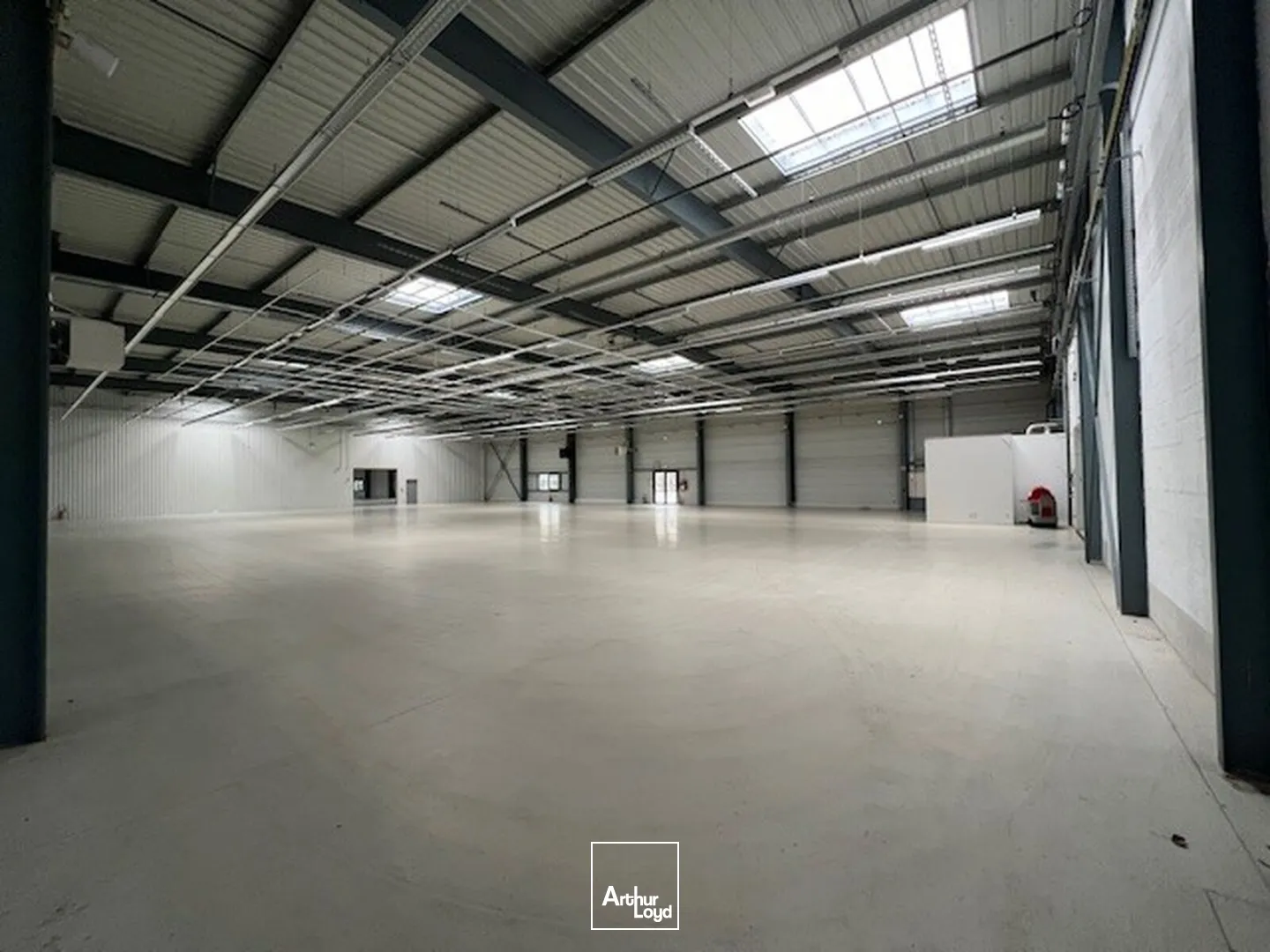 Locaux d'activité & Entrepôts - Location - LES ULIS - 91940 - 1370-18729 - 7637728