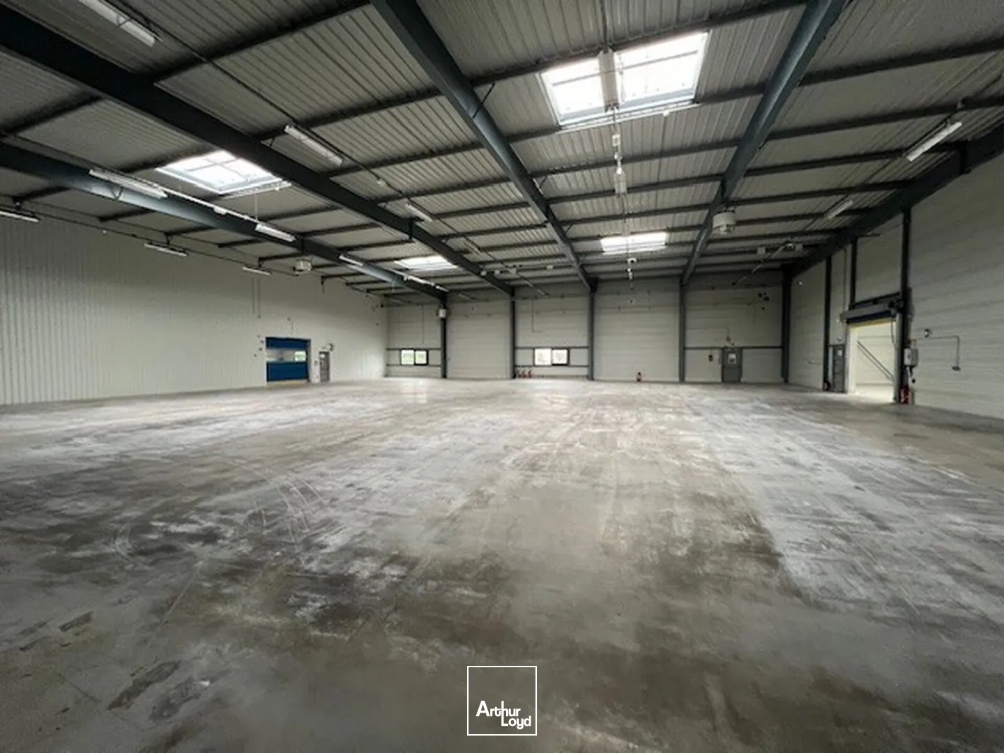 Locaux d'activité & Entrepôts - Location - LES ULIS - 91940 - 1370-18729 - 7637729