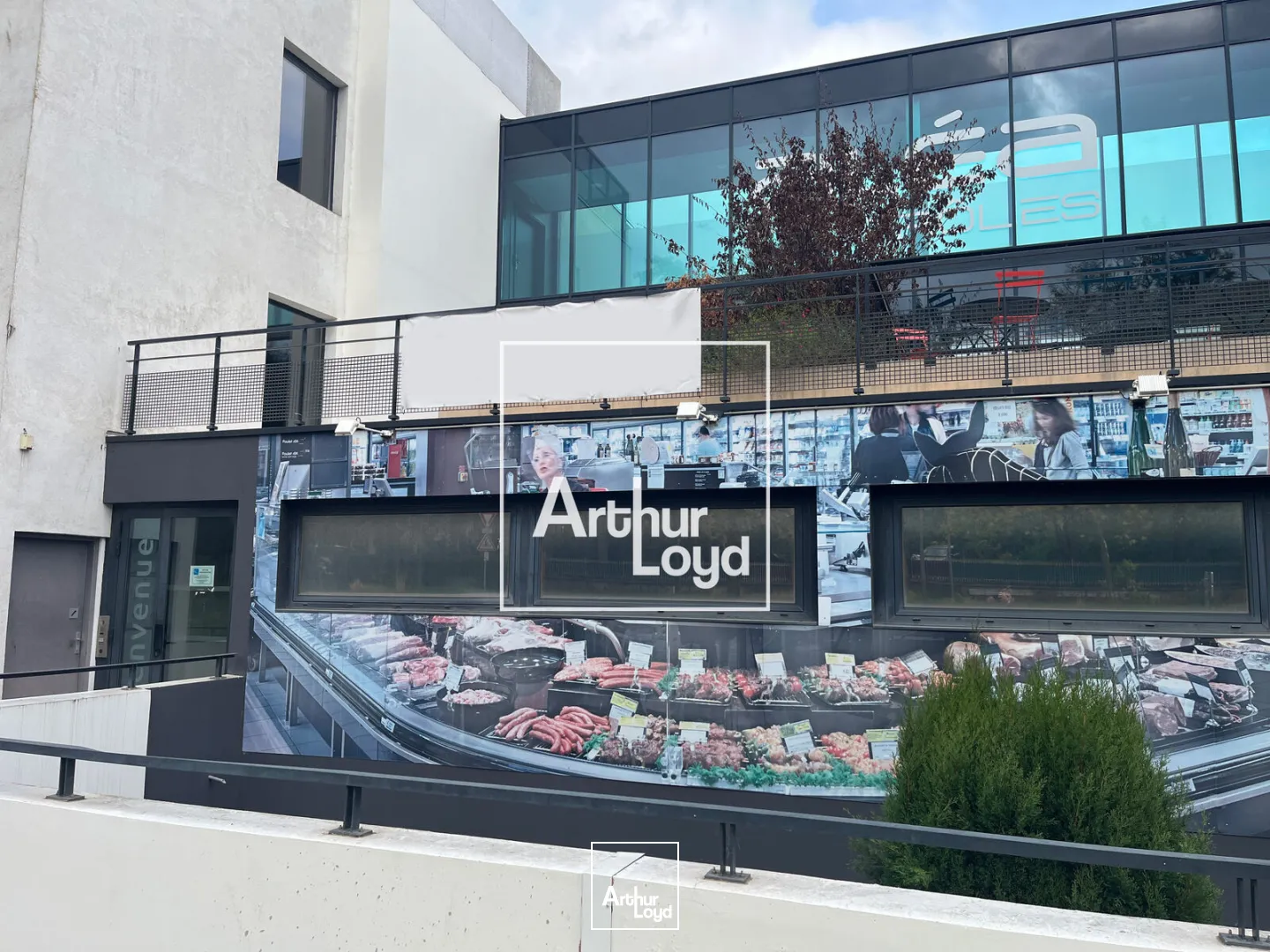 Locaux commerciaux - Location - AUZEVILLE TOLOSANE - 31320 - 2573-2573 - 7637774