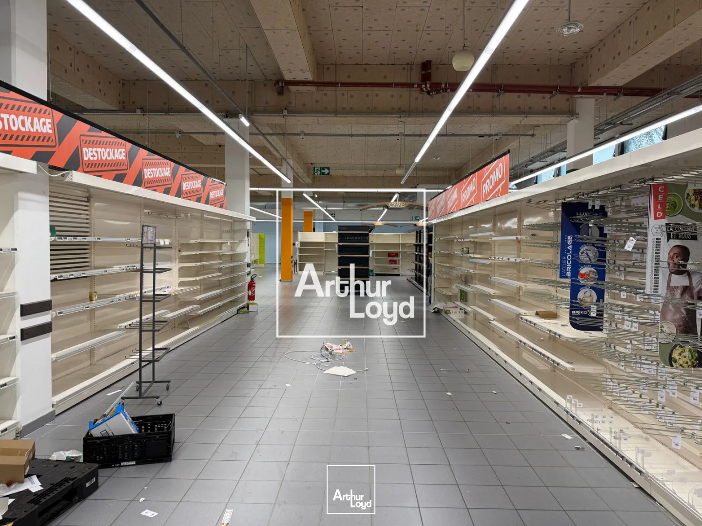 Locaux commerciaux - Location - AUZEVILLE TOLOSANE - 31320 - 2573-2573 - 7637777