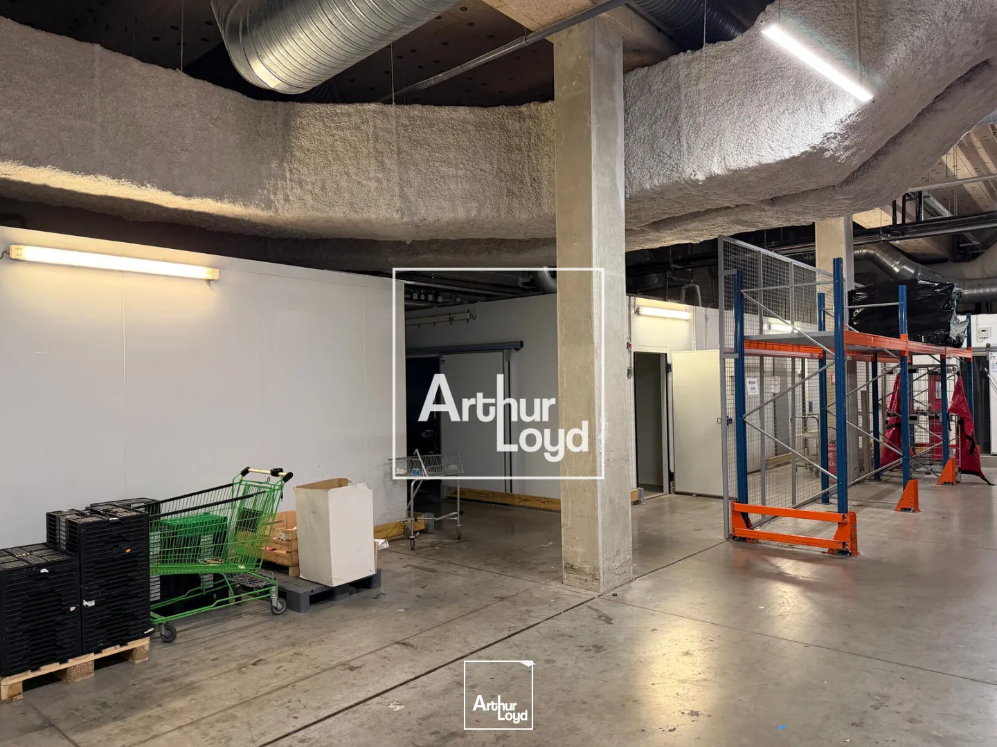 Locaux commerciaux - Location - AUZEVILLE TOLOSANE - 31320 - 2573-2573 - 7637779