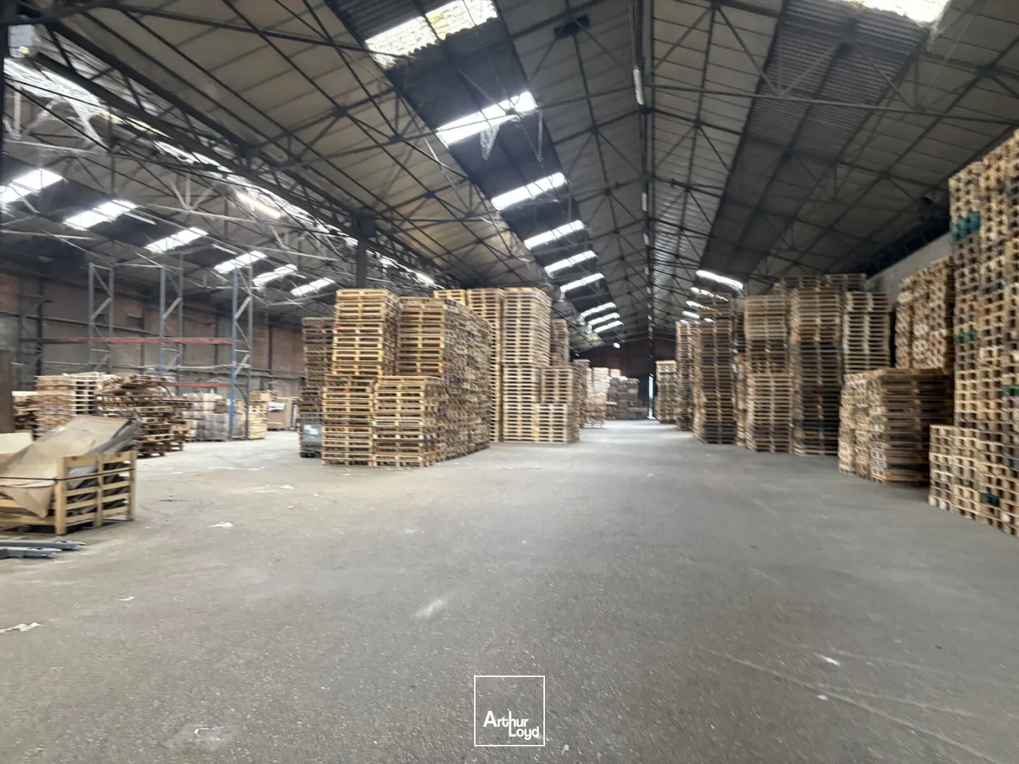 Locaux d'activité & Entrepôts - Location - SAINT JEAN DE LA RUELLE - 45140 - 3035-3035 - 7637899
