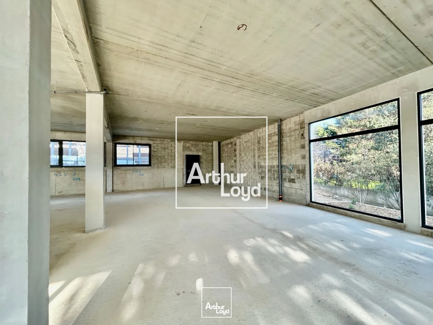 Locaux commerciaux - Location - LATTES - 34970 - 306.3-306.3 - 7638198