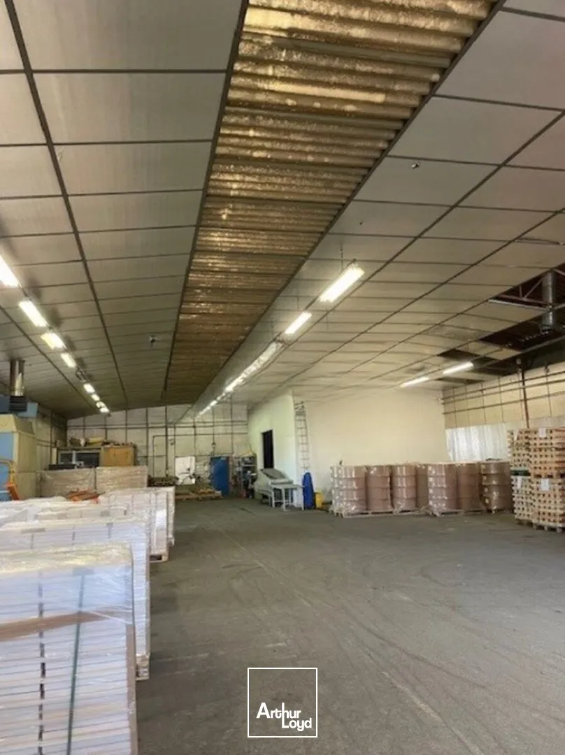 Locaux d'activité & Entrepôts - Vente - LE COTEAU - 42120 - 630-630 - 7638341