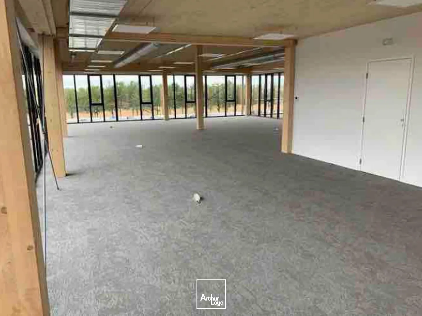 Bureaux - Location - VILLENEUVE D'ASCQ - 59650 - 172-708 - 7638450