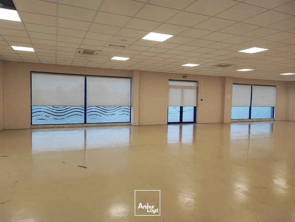 Locaux commerciaux - Location - LIMOGES - 87280 - 446-446 - 7638674