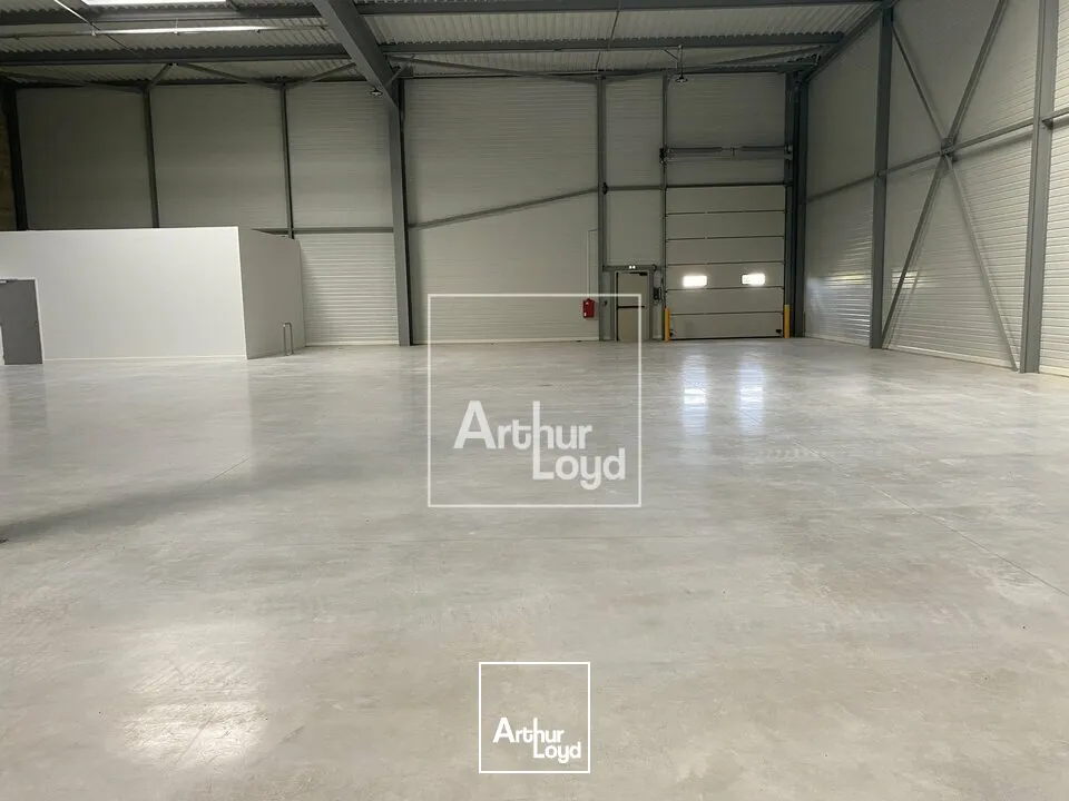 Locaux d'activité & Entrepôts - Location - LIEUSAINT - 77127 - 996-996 - 7639686