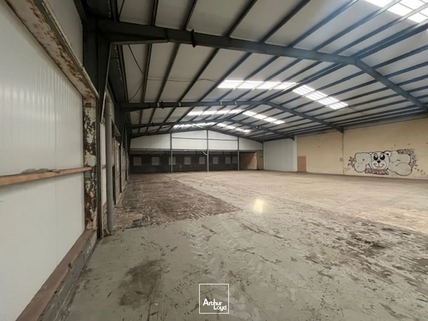 Locaux d'activité & Entrepôts - Location - LANDIVISIAU - 29400 - 845.7-2566.2 - 7639963