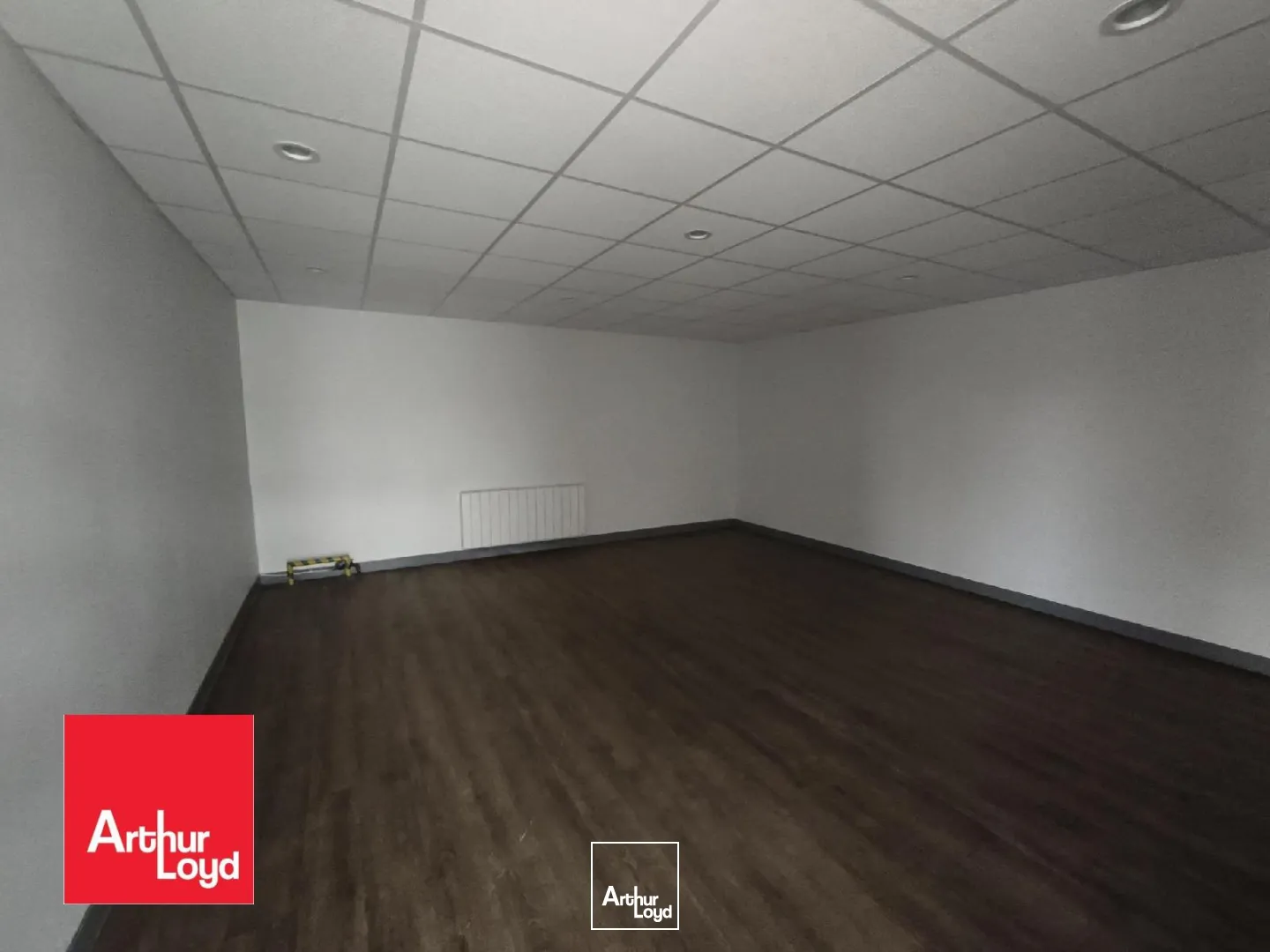 Locaux d'activité & Entrepôts - Location - MORANCEZ - 28630 - 100-100 - 7640465