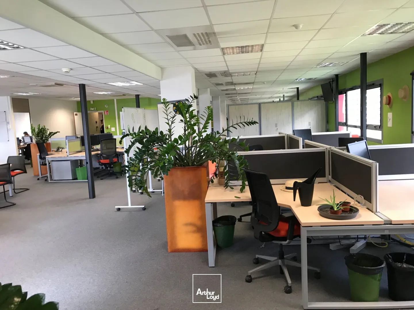 Bureaux - Location - ORVAULT - 44700 - 1571-1571 - 7641006