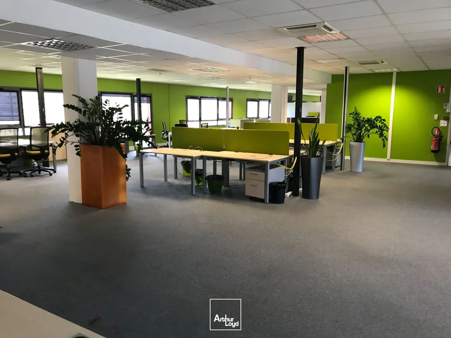 Bureaux - Location - ORVAULT - 44700 - 1571-1571 - 7641007