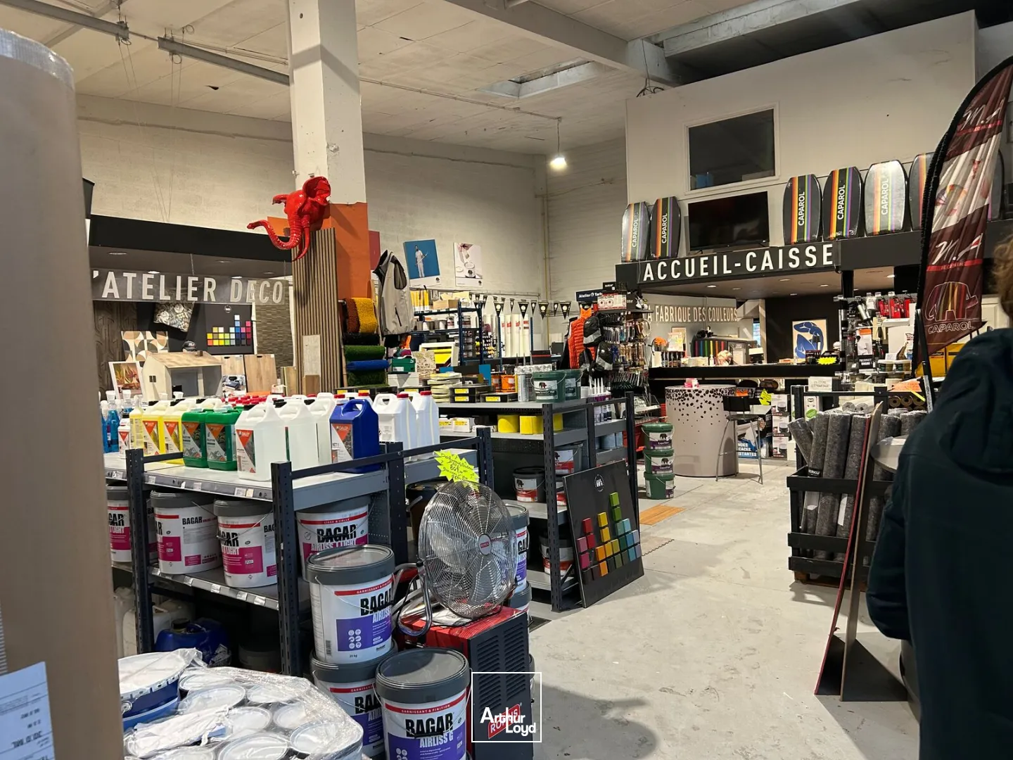 Locaux d'activité & Entrepôts - Location - VILLENEUVE D'ASCQ - 59650 - 288-288 - 7641129