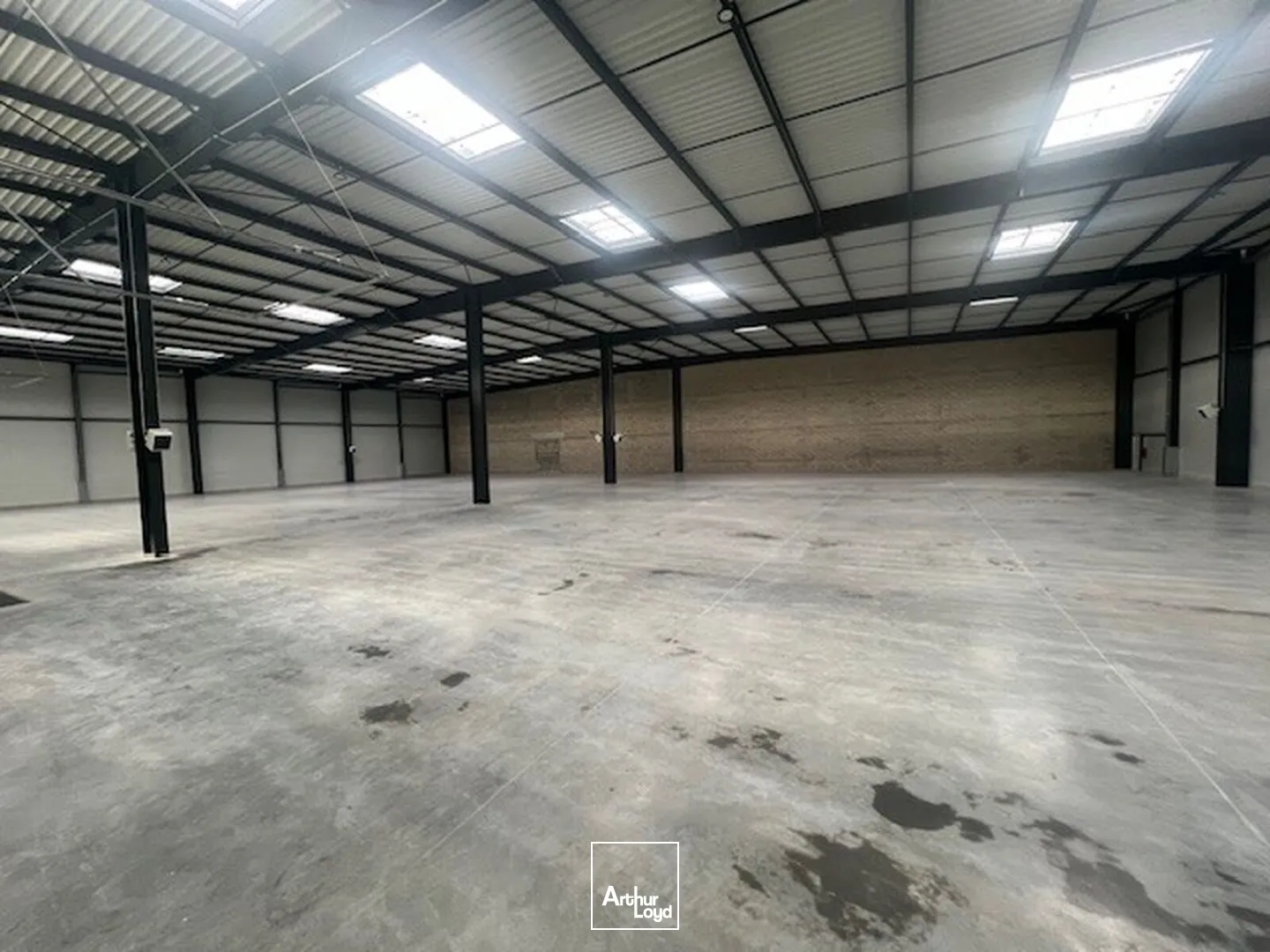 Locaux d'activité & Entrepôts - Location - PLAISIR - 78370 - 1513-4685 - 7641211