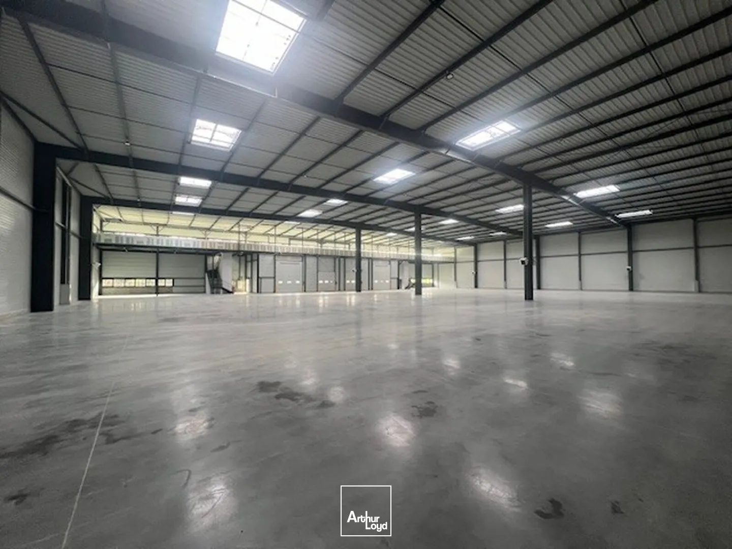 Locaux d'activité & Entrepôts - Location - PLAISIR - 78370 - 1513-4685 - 7641212