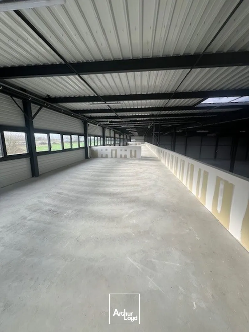 Locaux d'activité & Entrepôts - Location - PLAISIR - 78370 - 1513-4685 - 7641214