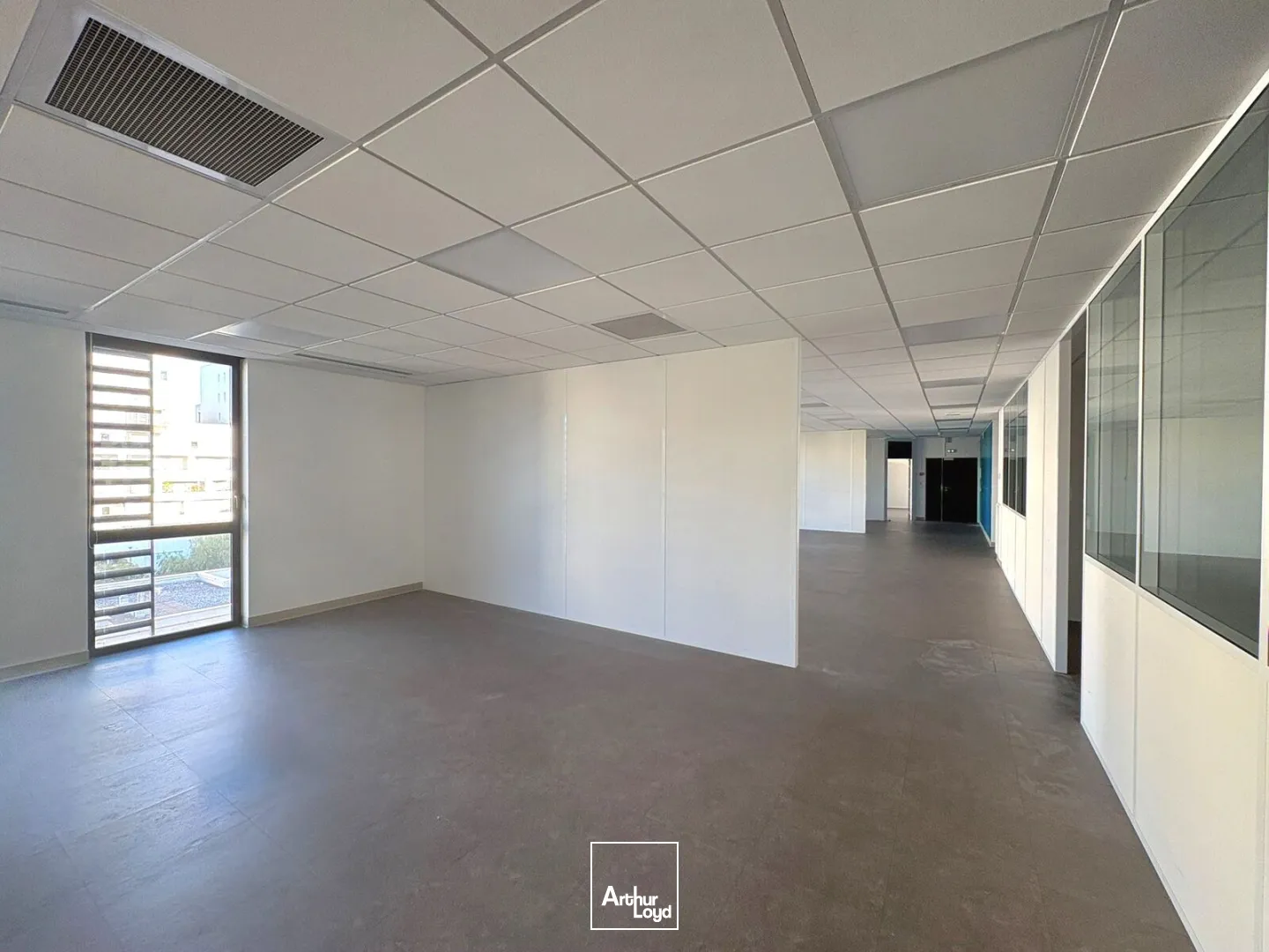 Bureaux - Location - MARSEILLE - 13002 - 1531-1531 - 7641241