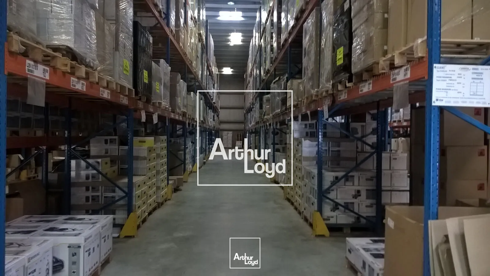 Locaux d'activité & Entrepôts - Location - LESPINASSE - 31150 - 6234-6234 - 7641289