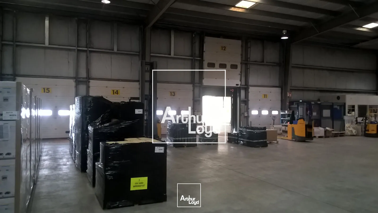 Locaux d'activité & Entrepôts - Location - LESPINASSE - 31150 - 6234-6234 - 7641290