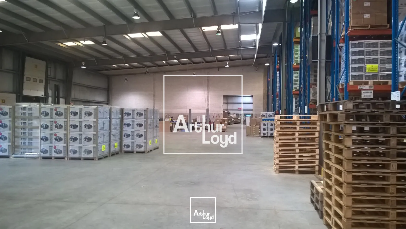 Locaux d'activité & Entrepôts - Location - LESPINASSE - 31150 - 6234-6234 - 7641285