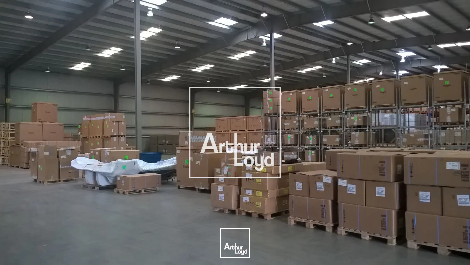 Locaux d'activité & Entrepôts - Location - LESPINASSE - 31150 - 6234-6234 - 7641287