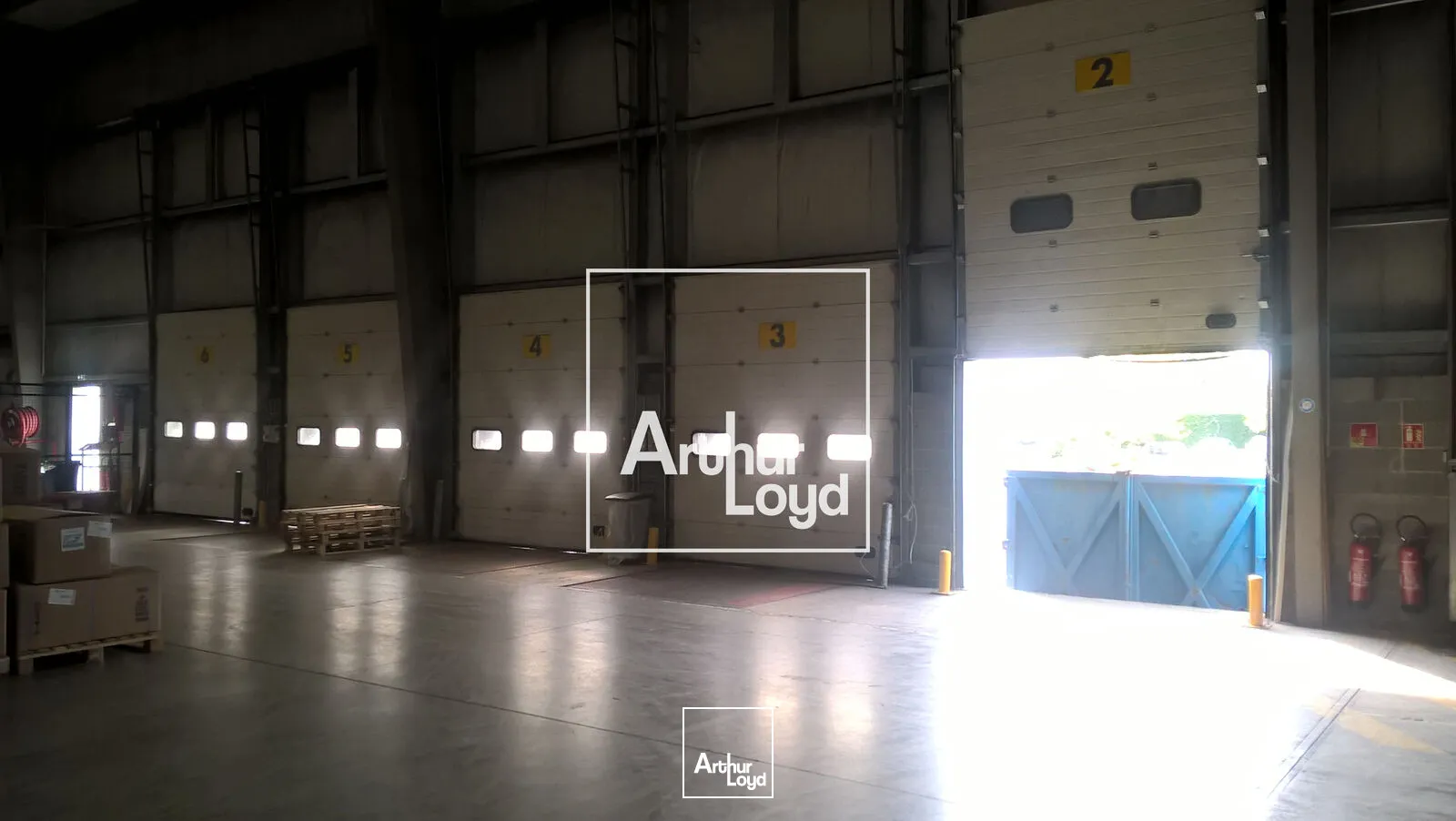 Locaux d'activité & Entrepôts - Location - LESPINASSE - 31150 - 6234-6234 - 7641291