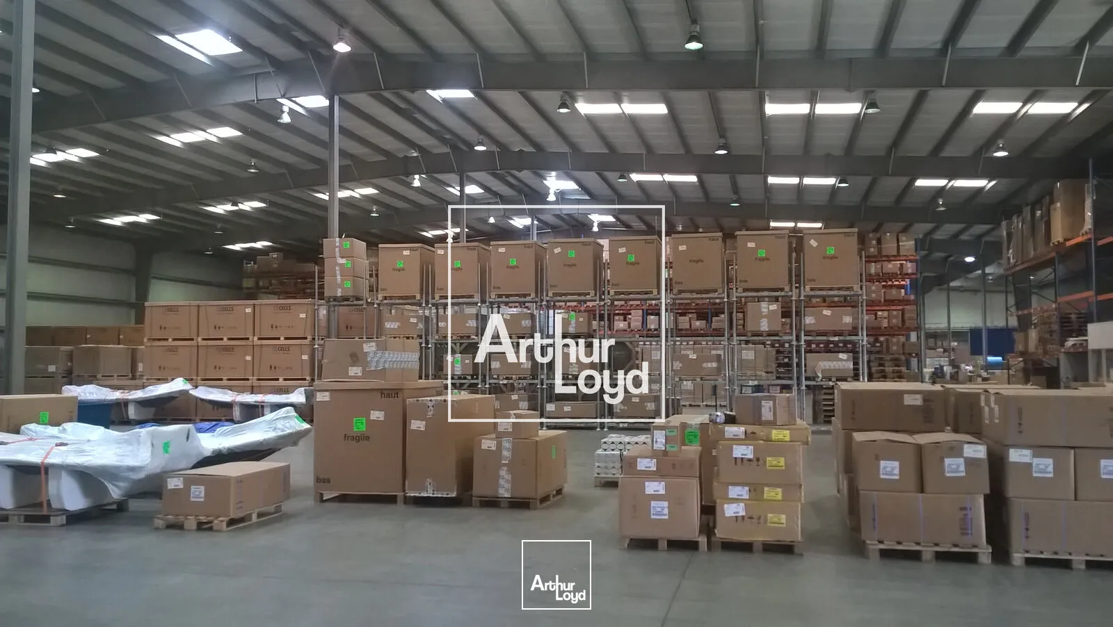 Locaux d'activité & Entrepôts - Location - LESPINASSE - 31150 - 6234-6234 - 7641288