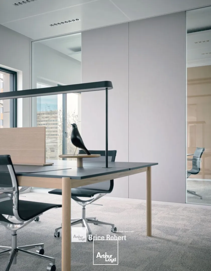 Bureaux - Vente - LYON - 69003 - 257.2-4965.5 - 7641359