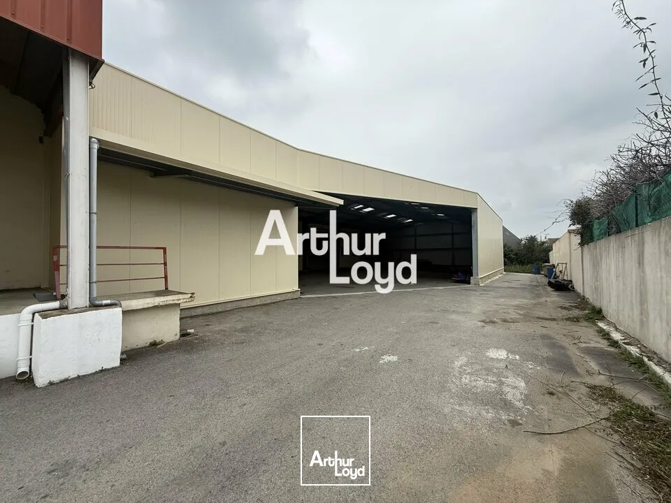 Locaux d'activité & Entrepôts - Location - PUGET SUR ARGENS - 83480 - 878-878 - 7641503