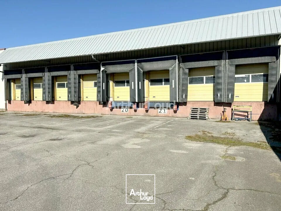 Locaux d'activité & Entrepôts - Vente - MATTAINCOURT - 88500 - 3070-13030 - 7641542