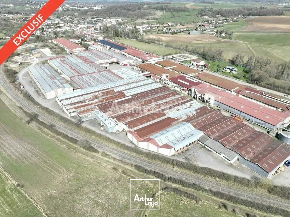 Locaux d'activité & Entrepôts - Vente - MATTAINCOURT - 88500 - 3070-13030 - 7641536