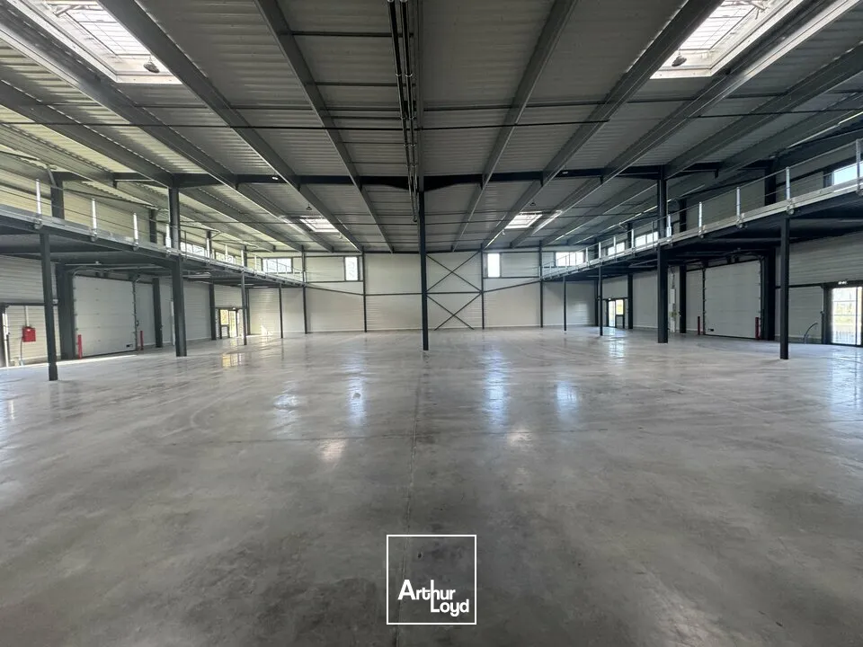 Locaux d'activité & Entrepôts - Location - JOUE LES TOURS - 37300 - 234-2852 - 7641616