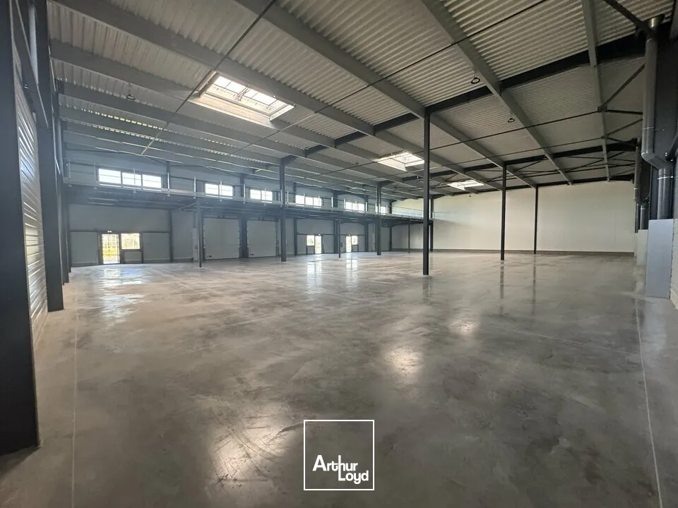 Locaux d'activité & Entrepôts - Location - JOUE LES TOURS - 37300 - 1119-1119 - 7641640