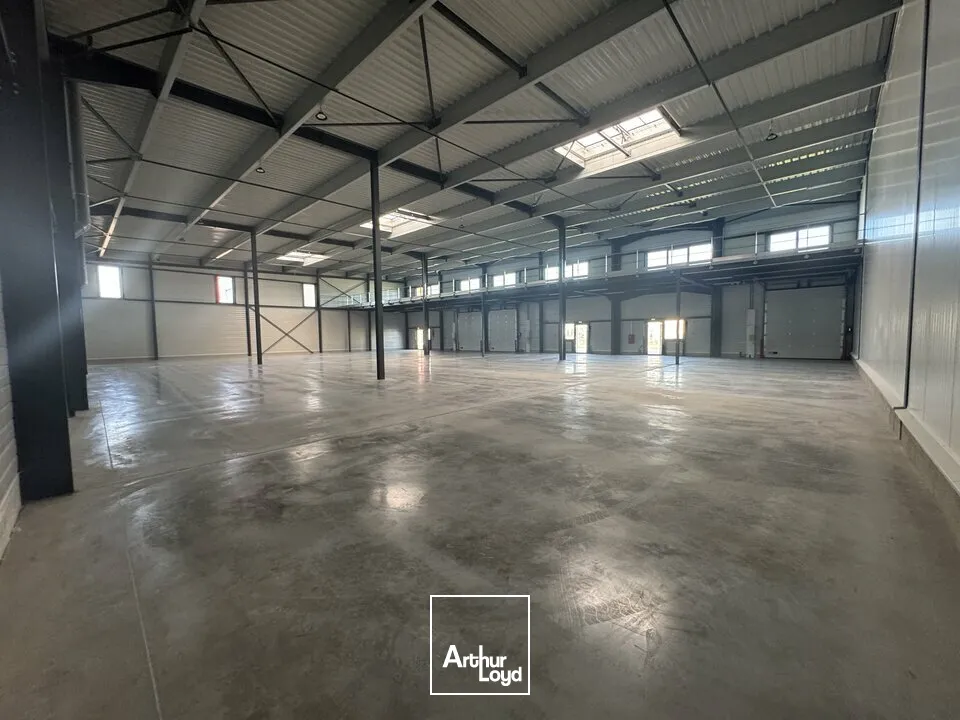 Locaux d'activité & Entrepôts - Location - JOUE LES TOURS - 37300 - 1119-1119 - 7641641