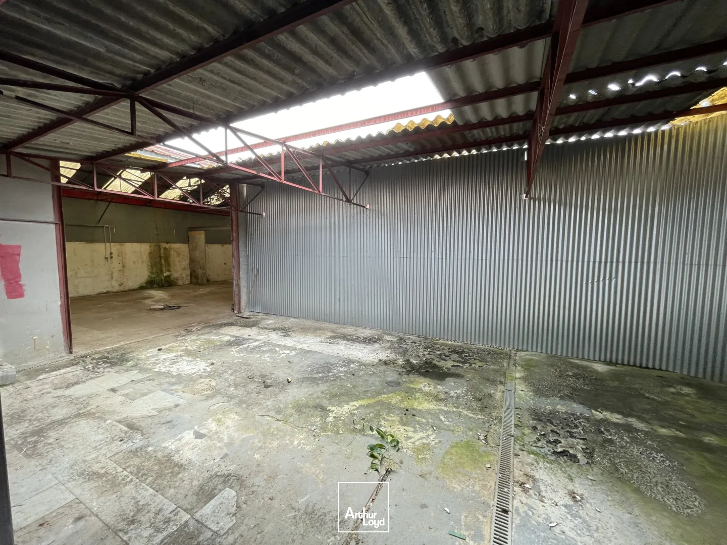 Locaux commerciaux - Location - NANTES - 44100 - 411-411 - 7643066